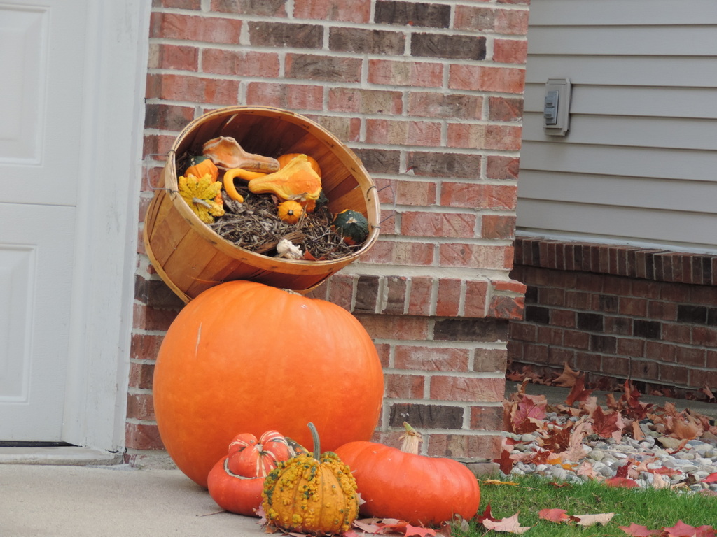 Halloween in Michigan